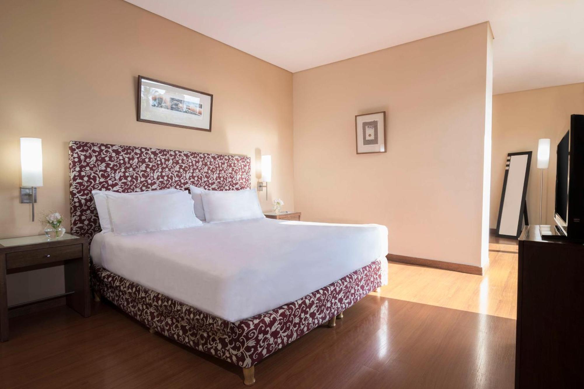 Hotel Nh Mendoza Cordillera Exteriér fotografie